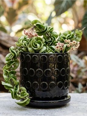 Modern Black Barrel Ceramic Planter with Attached Saucer - 4.5 Inch Round